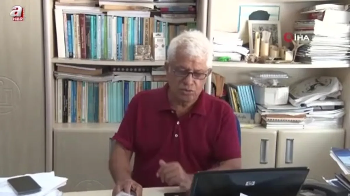 Köpek balıklarına yapılan "gösteri işkencesine" uzman uyarısı: Ekosistemi bozuyor