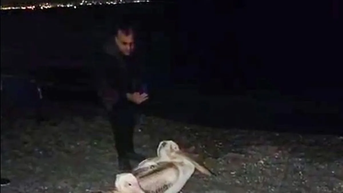 Görenler telefona sarıldı! Dünyaca ünlü sahilde şaşırtan manzara