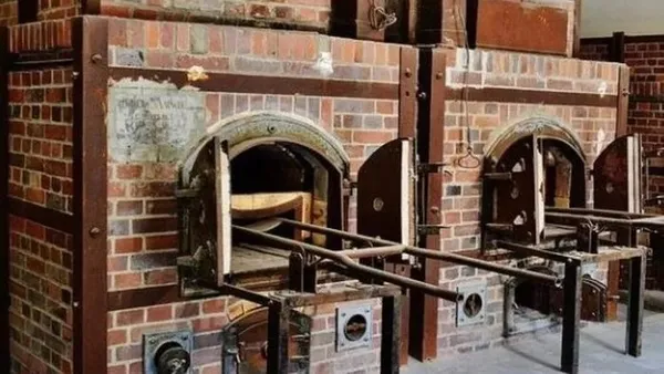 Almanya’da bir cenaze skandalı daha! Ölen annesine mektup yazdılar cevap alınamayınca...