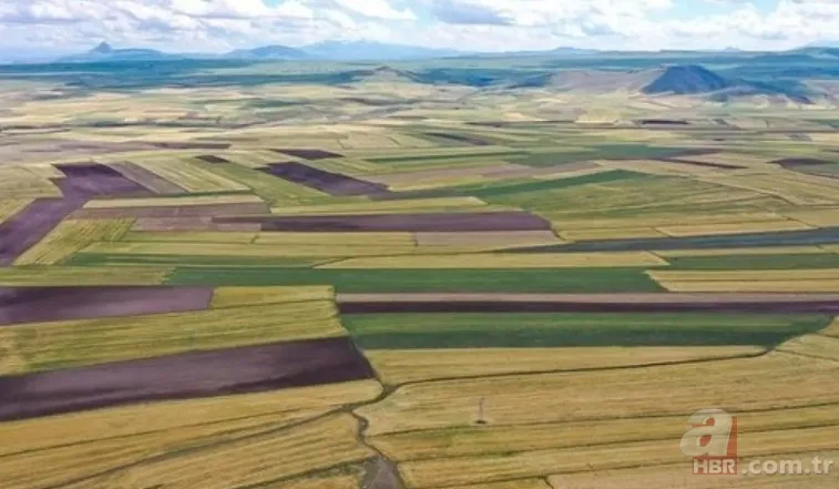 TOKİ ARSA KURA SONUÇLARI | Nevşehir Merkez TOKİ MÜSTAKİL ARSA kazananların İSİM LİSTESİ! Kars, Iğdır, Karabük... 3