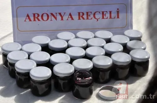 Aronya, Türk tarımına kazandırıldı 1