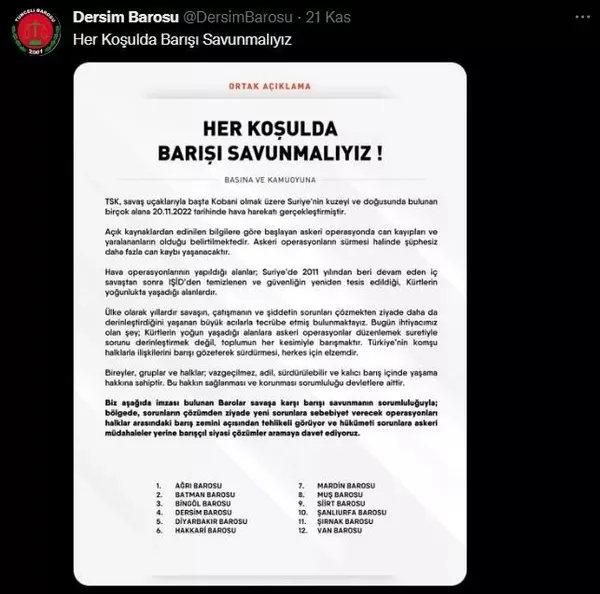 Meral Akşener'den tepki çeken görüşme: Tunceli Baro Başkanı Fatma Kalsen ile poz verdi! "Pençe Kılıç Harekatı" karşıtı bildiri yayınlayanlar arasındaydı - 3