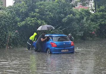Arhavi'de aşırı yağışlar sele neden oldu