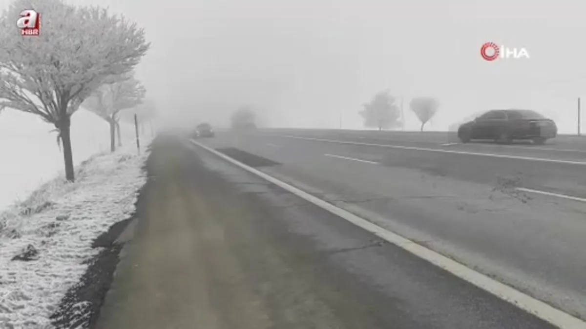 Bitlis’te yoğun sis etkili oldu