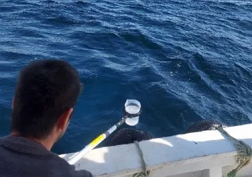 Marmara Denizi'nin su kalitesi inceleniyor! 20 noktadan numune alındı