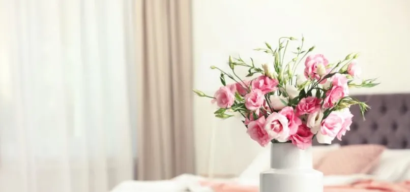 Yatak odanıza bu bitkileri koyarsanız...