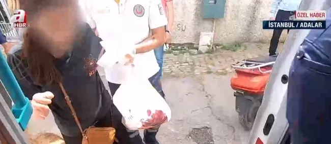 İstanbul’da yürekleri ısıtan görüntüler! Köpek ambulansı hastaneye kadar takip etti - 5