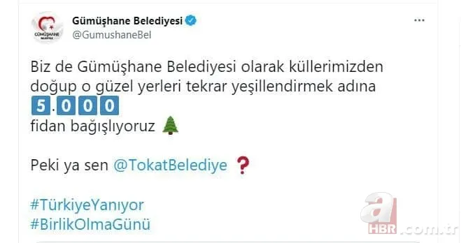 Türkiye yangına karşı tek yürek: Ünlü isimler de destek veriyor! Ormanlara ağaç dikilmesi için büyük kampanya başladı 18