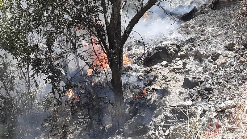 Sokakta korku dolu anlar! Yılan paniği ekipleri harekete geçirdi 9