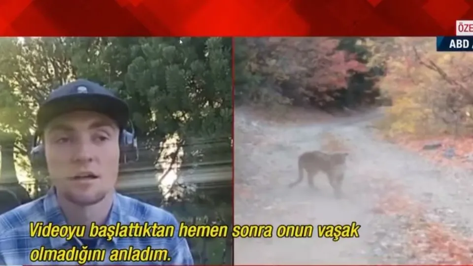 Son dakika: Pumanın saldırısına uğrayan genç dünyanın konuştuğu videoyu A Haber'e anlattı! Milyonlarca izleme alan o videoyu nasıl çekti? İşte o görüntülerin perde arkası