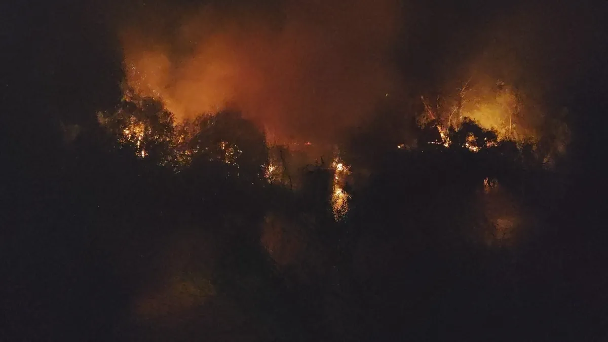 Antalya'da ırmak kenarında yangın paniği! Böğürtlen ve çalılık alan tutuştu