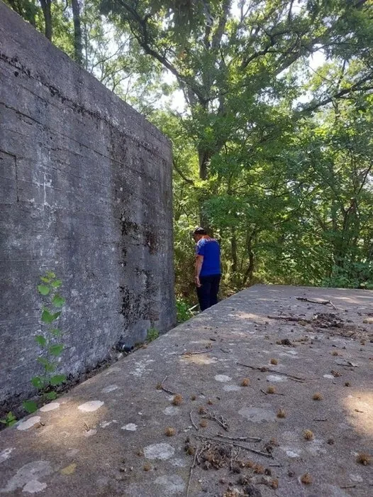 ekonomist-korhan-berzegi-arama-calismalarinda-26nci-gun-50-metruk-bina-ve-10-kuyudan-da-sonuc-cikmadi-ozel-eki-1689155499243.jpg Ekonomist Korhan Berzeg’i arama çalışmalarında 26’ncı gün! 50 metruk bina ve 10 kuyudan da sonuç çıkmadı | Özel ekip o noktaya bakacak… - 4