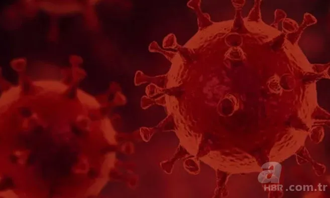 Koronavirüsten sonra dünyayı bekleyen tehlike! Bilim insanlarının araştırması korkuttu: Et yiyen mikroplar 4