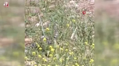 Görüntüler Çanakkale’den