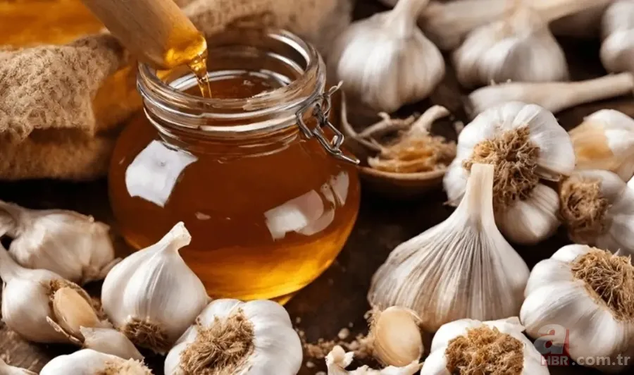 Kolesterol, tansiyon, kanser... Faydasını duyunca avuç avuç yutacaksınız: İbn-i Sina'nın asırlık reçetesi! 2