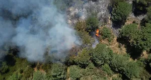 İstanbul’da korkutan orman yangını