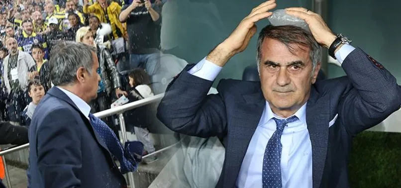 Şenol Güneş'ten TFF'nin kararına tepki