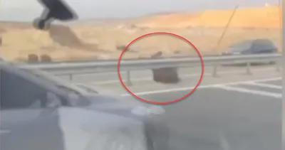 Yer Çakal Köprüsü: Bir anda yola çıktılar! Panik anları kamerada