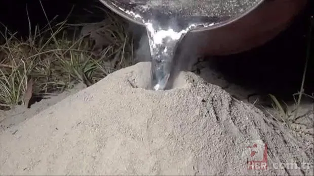 Kırmızı karıncalardan batmayan sal! Haftalarca yüzebiliyorlar 9