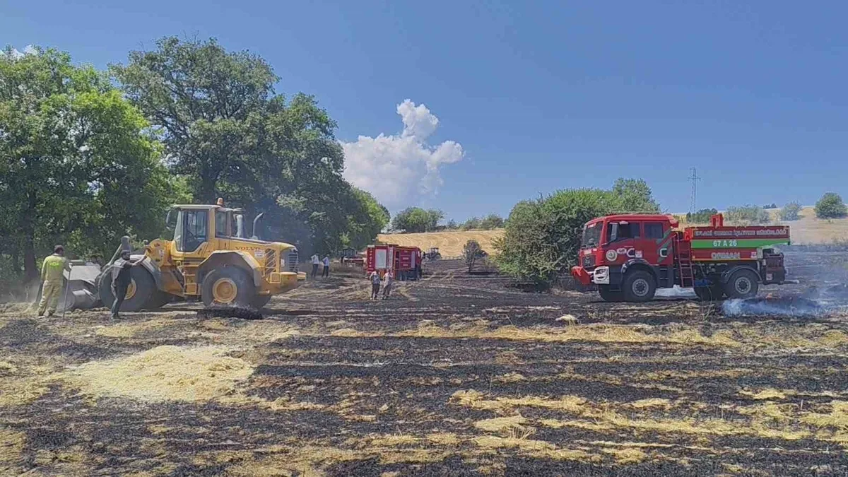 Karabük'te anız yangını kontrol altına alındı