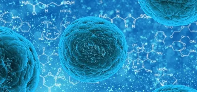 Kanser hastalarına özel sağlıklı beslenme tavsiyeleri