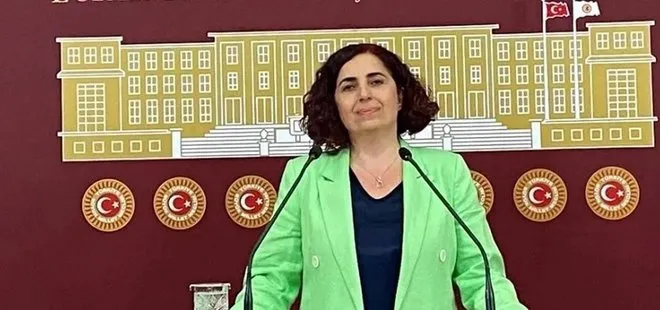 DEM Parti’li Sevilay Çelenk’ten skandal! TBMM’de LGBT sapkınlığını savundu | AK Parti’den tepki: ’’İzlemeyeceğiz izlettirmeyeceğiz’