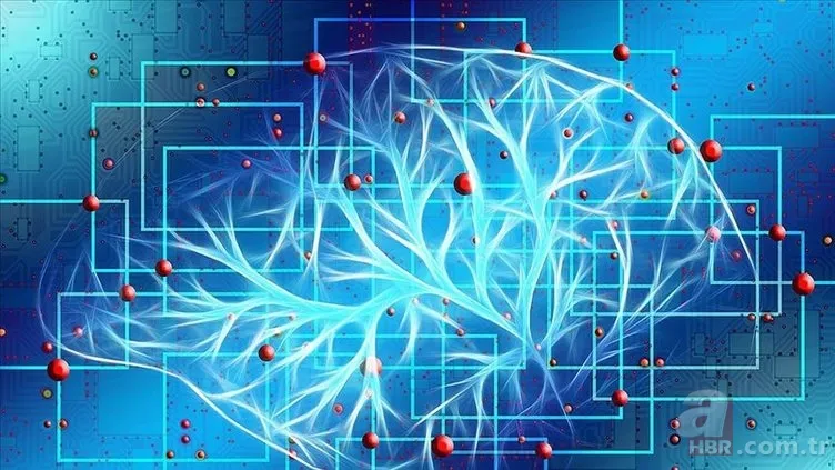 Yapay zeka ölümcül mü oluyor? Korkutan silah uyarısı! "Dünyayı kurtarmak için iki yıl... " 6