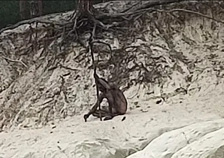 Kim bu gizemli çıplak adam? Harabe bir kalede elinde mızrakla görüntülendi | Dünya bu görüntüleri konuşuyor