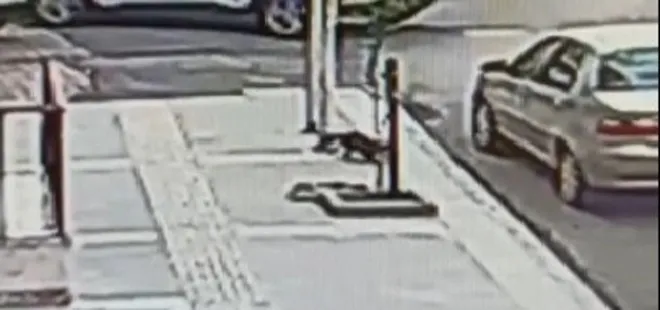 Dördüncü kattan düştü! O anlar kamerada