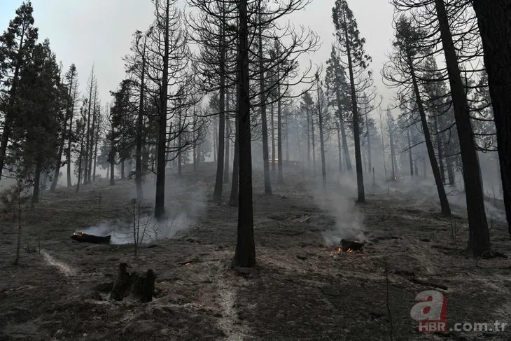 ABD kriz modunda! Dixie bir aydır söndürülemiyor: California’da 210 bin hektar orman kül oldu