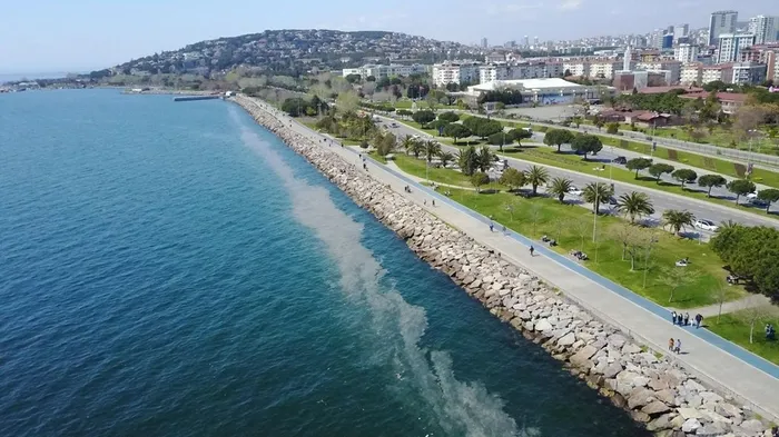 İstanbul'da yine ortaya çıktı! Kartal Sahili'nde "deniz salyası" endişesi | Müsilaj nedir? - 2