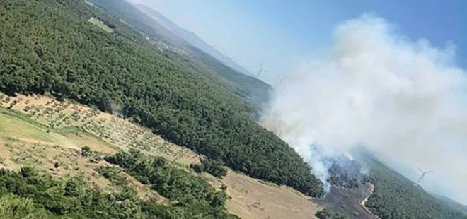 Son dakika: İzmir’in Urla ilçesinde orman yangını çıktı