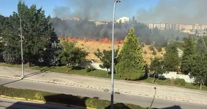 Eskişehir’de parkta yangın paniği