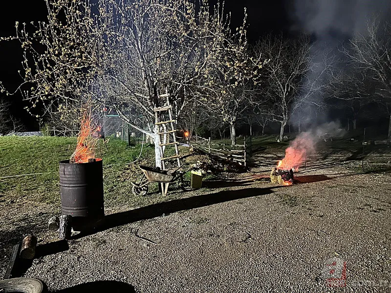 Şehir şehir zarar gören ürünler listesi: Fındık, Ceviz, Kiraz... Türkiye'de Zirai Don Haritası ortaya çıktı! 18