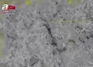 Bakanlık duyurdu! Aniden yok edildiler