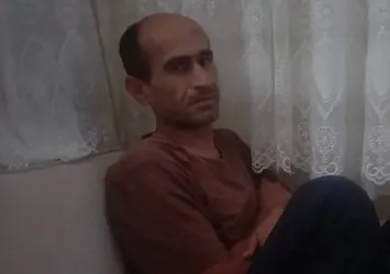 Fatih'teki başıboş köpek dehşetinde yeni gelişme! Adli rapor ortaya çıktı: Ayhan Özçelik vahşetinde yürek yakan bulgular...