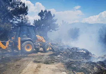 Kuşadası'nda metan gazı sıkışması nedeniyle 2 hektar makilik alan yandı