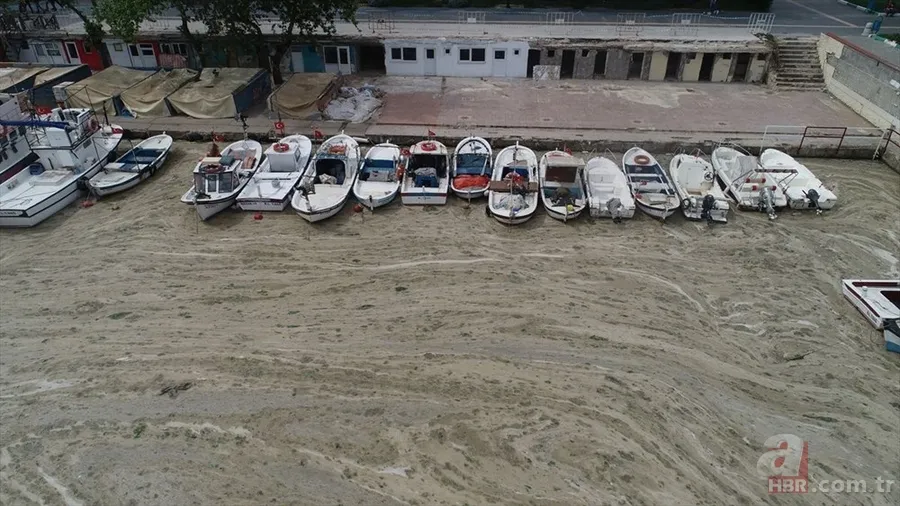 Deniz salyası ABD basınında: Marmara ölüyor! Çevre profesöründen kritik uyarı geldi 2