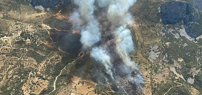 İzmir'de korkutan orman yangını