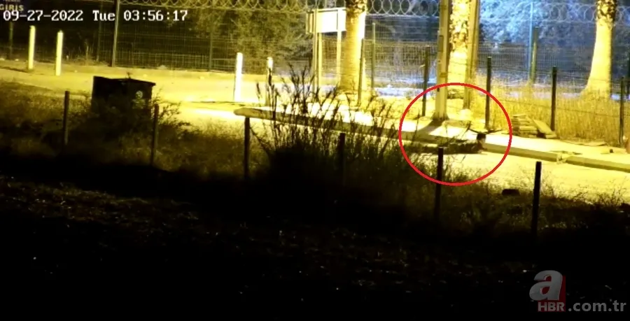 Mersin'deki saldırıdan yeni görüntüler: Teröristin sırtındaki çantayı patlatma anı kamerada 13