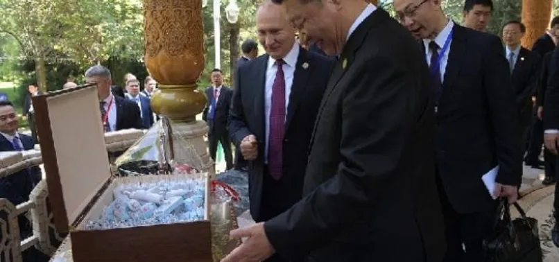 Putin'den Çin liderine doğum günü hediyesi!