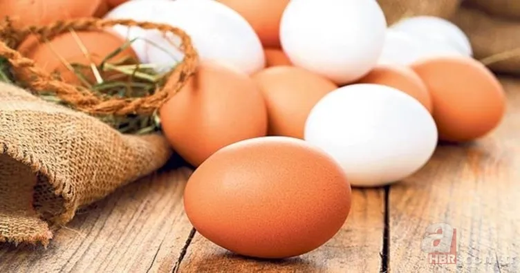 Yumurtaların üzerindeki kod ne anlama geliyor? Yumurtanızın kodu ne? Eğer 3 ile başlıyorsa... 12