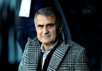 Şenol Güneş Milli Takım'da