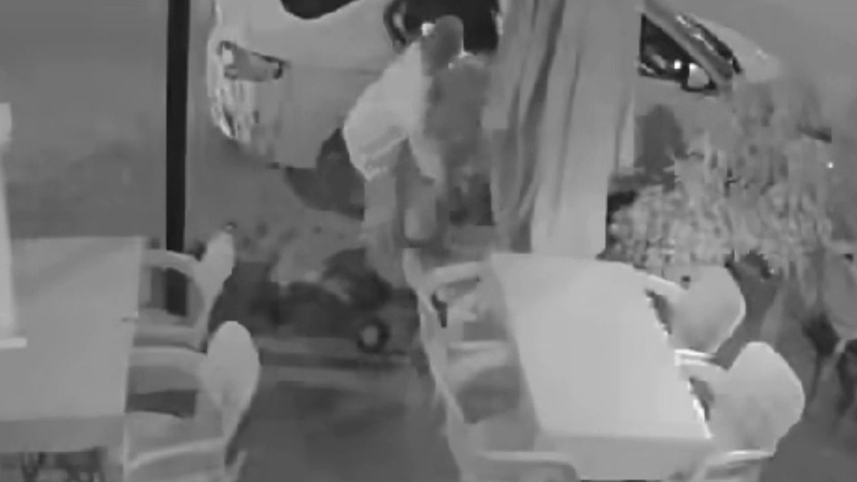 Mersin'de ilginç hırsızlık! Otomobille gelip çiçeği çaldılar