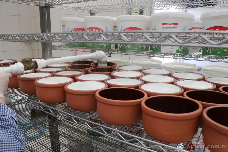 200 litreden 7 tona uzanan dev yolculuk: Sofraların lezzeti onlara emanet 6