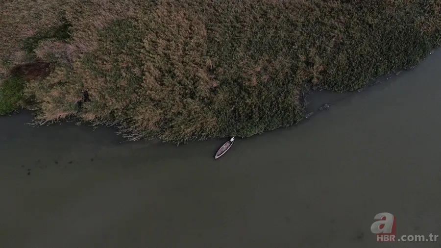 Uluabat Gölü yok olma tehlikesiyle karşı karşıya! 6