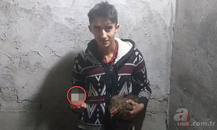 Kümese girdi başına talih kuşu kondu! Tavuğu servet yumurtladı 17