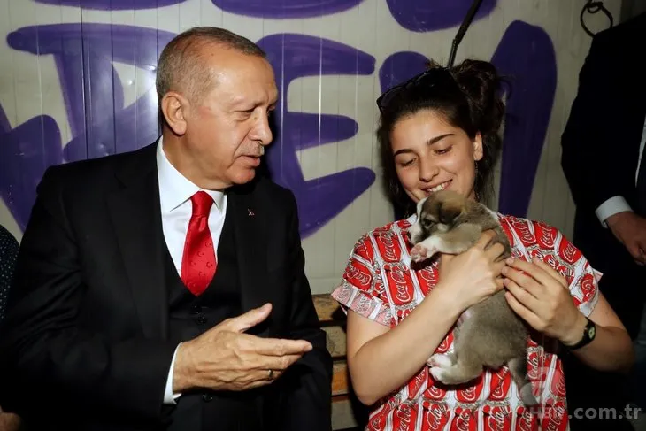 Başkan Erdoğan'dan Üsküdar'da sürpriz ziyaret