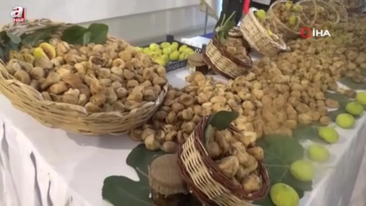 Aydın'da sezonun ilk kuru inciri 800 liradan satıldı