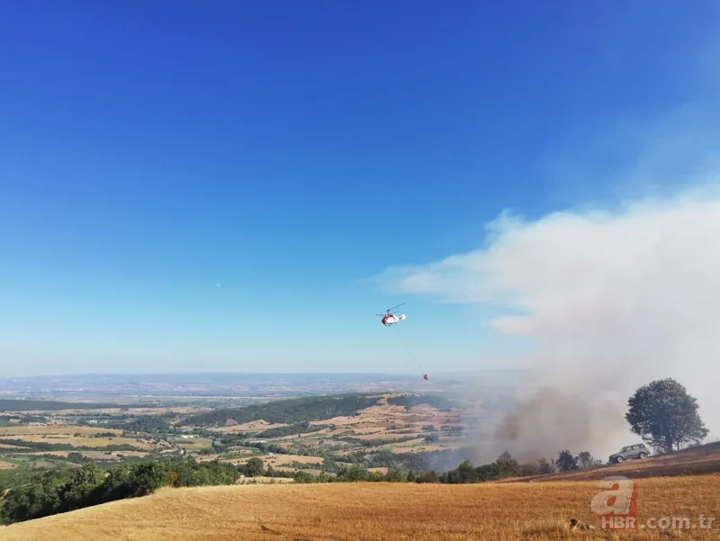 Bursa Yenişehir'de korkutan orman yangını! 19